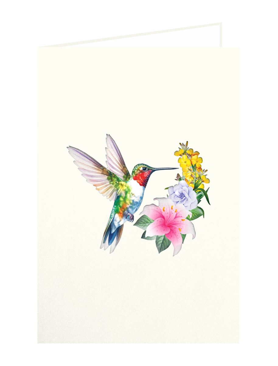 hummingbird-1