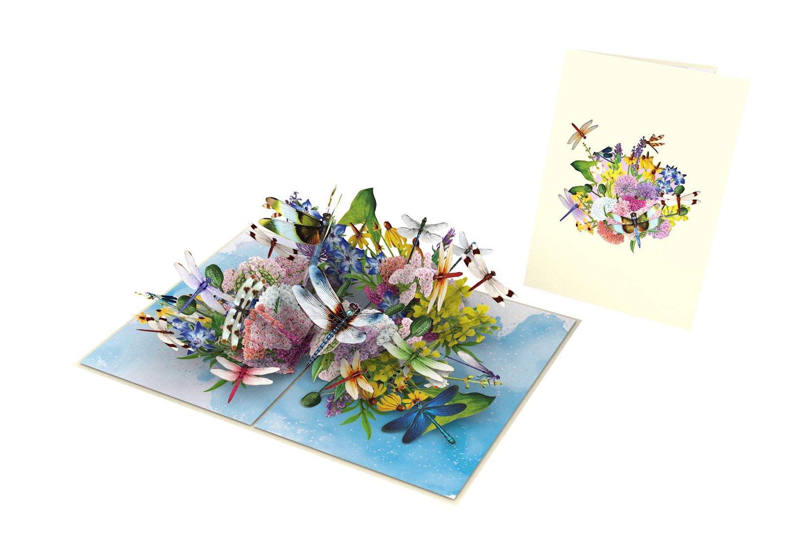 dragonfly-garden
