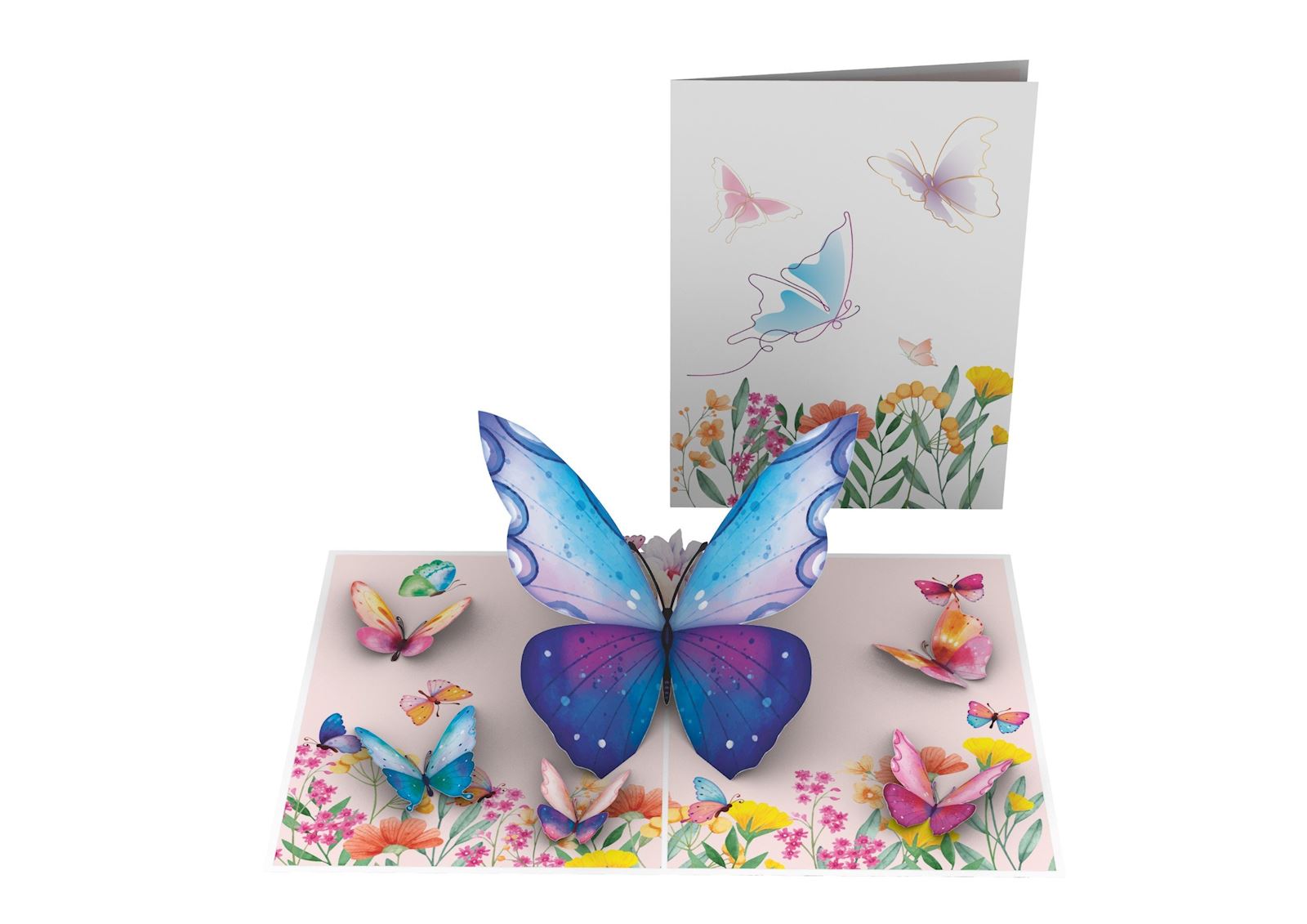 butterflies-wild-flower